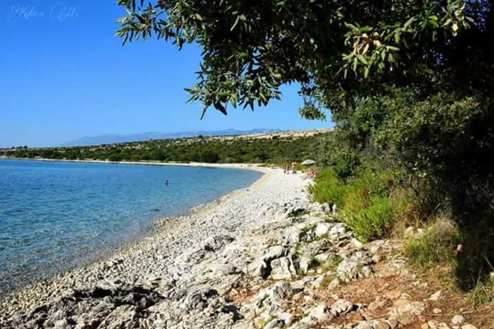 Apartments Lidija Pag Town Dış mekan fotoğraf